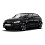 A3
